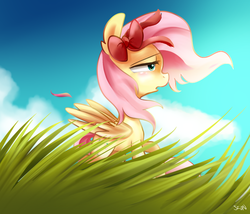 Size: 700x600 | Tagged: safe, artist:sion-ara, fluttershy, pegasus, pony, g4, bow, female, grass, solo, windswept mane