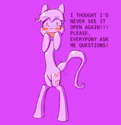 Size: 1148x1185 | Tagged: safe, artist:theskitzogamer, oc, oc only, pony, ask a pony, ask, bipedal, blushing, crying, excited, happy, looking at you, open mouth, shivering, smiling, solo, static, text, tumblr, wide eyes