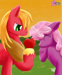 Size: 829x1000 | Tagged: safe, artist:clouddg, big macintosh, cheerilee, earth pony, pony, g4, apple, chest fluff, duo, male, ship:cheerimac, shipping, stallion, straight