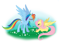 Size: 3483x2575 | Tagged: safe, artist:shadow of destiny, fluttershy, rainbow dash, g4, high res, scene interpretation, yay