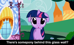 Size: 1600x973 | Tagged: safe, edit, edited screencap, screencap, twilight sparkle, g4, :o, caption, cs captions, dilated pupils, female, floppy ears, fourth wall, looking at you, solo