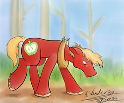 Size: 3000x2500 | Tagged: safe, artist:a-wandering-dragon, big macintosh, earth pony, pony, g4, high res, male, solo, stallion