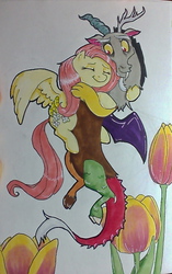 Size: 672x1068 | Tagged: safe, artist:cog-dis, discord, fluttershy, g4, female, hug, male, ship:discoshy, shipping, straight, traditional art