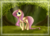 Size: 5472x3937 | Tagged: safe, artist:lolepopenon, fluttershy, pegasus, pony, g4, absurd resolution, female, forest, looking up, smiling, solo