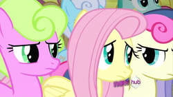 Size: 1024x576 | Tagged: safe, screencap, bon bon, daisy, flower wishes, fluttershy, linky, shoeshine, spring melody, sprinkle medley, sweetie drops, g4, putting your hoof down, bon bon is not amused, hub logo, squee