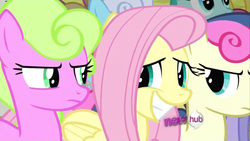 Size: 1024x576 | Tagged: safe, screencap, bon bon, daisy, flower wishes, fluttershy, linky, shoeshine, spring melody, sprinkle medley, sweetie drops, g4, putting your hoof down, bad poker face, bon bon is not amused, hub logo, smiling