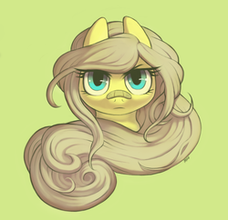 Size: 1019x987 | Tagged: safe, artist:moo, fluttershy, g4, bandaid, bandaid on nose, bust, female, looking at you, simple background, solo