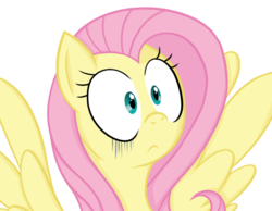 Size: 785x609 | Tagged: safe, artist:88ms-allie88, artist:celeriven, fluttershy, g4, female, solo, surprised