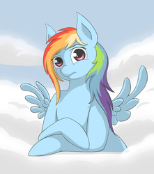 Size: 1500x1700 | Tagged: safe, artist:whiro153, rainbow dash, pony, g4, cloud, cloudy, female, solo