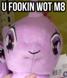 Size: 480x557 | Tagged: safe, twilight sparkle, g4, caption, exploitable meme, faic, hasbro, irl, meme, photo, plushie, solo, text, u wot m8, wat