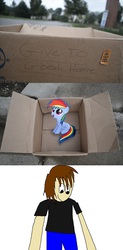 Size: 761x1545 | Tagged: safe, rainbow dash, oc, pegasus, pony, g4, cardboard box, dashie meme, exploitable meme, meme, non-mlp oc