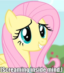 Size: 477x550 | Tagged: safe, screencap, fluttershy, g4, awkward smile, descriptive noise, female, meme, smiling, solo, text, x internally