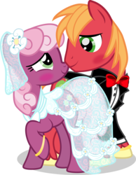 Size: 2620x3370 | Tagged: safe, artist:benybing, big macintosh, cheerilee, earth pony, pony, g4, blushing, clothes, dress, high res, male, ship:cheerimac, shipping, simple background, stallion, straight, transparent background, tuxedo, wedding, wedding dress, wedding ring