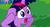 Size: 847x461 | Tagged: safe, screencap, twilight sparkle, g4, female, meme, solo, twilight snapple, wat, youtube caption