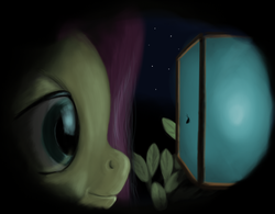 Size: 878x686 | Tagged: safe, artist:lemurkatta, fluttershy, insect, g4, dark, female, lantern, night, size difference, solo