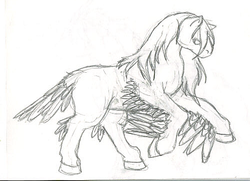Size: 500x361 | Tagged: safe, harpy, fluffy, leg wings, long mane, monochrome, ponified, rearing, sketch, solo, traditional art