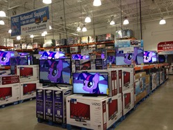 Size: 1280x960 | Tagged: safe, twilight sparkle, alicorn, pony, g4, princess twilight sparkle (episode), artificial intelligence, costco, female, imminent assimilation, irl, mare, multeity, photo, pure unfiltered evil, sam's club, shop, so much pony, sparkle sparkle sparkle, store, television, this will end in assimilation, twilight sparkle (alicorn), united states, vizio, welcome to the herd, you can not escape