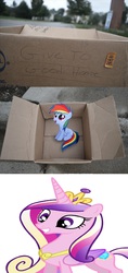 Size: 1320x2796 | Tagged: safe, princess cadance, rainbow dash, alicorn, pegasus, pony, g4, dashie meme, exploitable meme, good people finding dash meme, meme