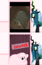 Size: 652x1000 | Tagged: safe, queen chrysalis, oc, oc:fluffle puff, turtle, g4, danger, fluffle puff's closet, meme, the amazing world of gumball, the evil turtle