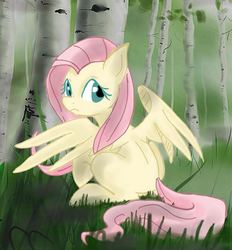 Size: 1003x1079 | Tagged: safe, artist:openskyline, fluttershy, g4, female, solo