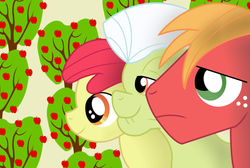 Size: 900x605 | Tagged: safe, artist:bonaldo-kun, apple bloom, big macintosh, granny smith, earth pony, pony, g4, male, stallion