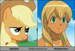 Size: 401x271 | Tagged: safe, applejack, g4, comparison, inazuma eleven, ishygddt, meme, miyasaka ryou, totally looks like