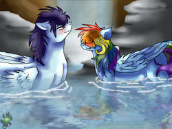 Size: 1024x768 | Tagged: safe, artist:danituco, rainbow dash, soarin', g4, blushing, female, male, ship:soarindash, shipping, straight, water, wet