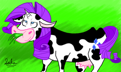 Size: 854x512 | Tagged: safe, artist:seika, rarity, cow, g4, bovine, cowified, female, mlpg.co, mlpgdraws, raricow, solo, species swap, udder