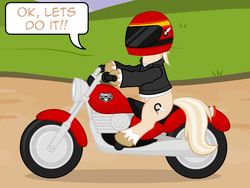 Size: 640x480 | Tagged: safe, artist:aha-mccoy, oc, oc only, oc:jay aaron mclovin, earth pony, pony, nopony-ask-mclovin, helmet, male, motorcycle, motorcycle helmet, solo, speech bubble, stallion