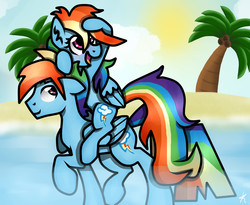 Size: 2200x1800 | Tagged: safe, artist:monnarcha, rainbow dash, g4, beach, female, male, ponies riding ponies, rainbow blitz, riding, rule 63, self ponidox, self riding, selfcest, ship:dashblitz, shipping, straight, water