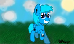 Size: 512x308 | Tagged: safe, artist:brenny senpai, oc, oc only, oc:sapphire paw, pegasus, pony, male, solo, stallion