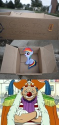 Size: 1320x2796 | Tagged: safe, rainbow dash, pegasus, pony, g4, buggy the clown, dashie meme, evil people finding dash meme, exploitable meme, meme, one piece