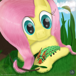 Size: 2800x2800 | Tagged: safe, artist:misterjuly, fluttershy, caterpillar, g4, high res