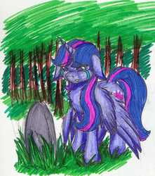 Size: 1297x1466 | Tagged: safe, artist:nekotigerfire, twilight sparkle, alicorn, pony, g4, crying, female, gravestone, immortality blues, mare, solo, traditional art, twilight sparkle (alicorn), twilight will outlive her friends