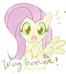 Size: 291x326 | Tagged: safe, artist:askumfluttershy, fluttershy, pegasus, pony, g4, expand dong, exploitable meme, female, mare, meme, solo, wingboner