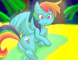 Size: 1121x863 | Tagged: safe, artist:redanon, rainbow dash, g4, beach, beach blanket, butt, drawthread, female, plot, solo