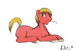 Size: 1080x720 | Tagged: safe, artist:sidekick, big macintosh, earth pony, pony, g4, male, solo, stallion