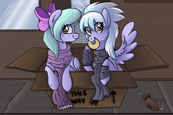 Size: 1095x730 | Tagged: dead source, safe, artist:samikou, cloudchaser, flitter, pegasus, pony, rat, g4, box, cardboard box, clothes, dirty, donut, duo, torn clothes