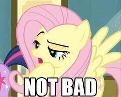 Size: 500x402 | Tagged: safe, screencap, fluttershy, twilight sparkle, g4, read it and weep, female, not bad, reaction image, solo
