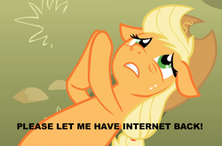 Size: 944x623 | Tagged: safe, applejack, g4, applepray, exploitable meme, female, image macro, meme, on back, solo