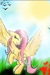 Size: 320x480 | Tagged: safe, artist:katie1234585, fluttershy, g4, female, solo