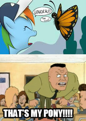 Size: 275x388 | Tagged: artist needed, safe, edit, rainbow dash, butterfly, g4, beavis, beavis and butthead, bradley buzzcut, butthead, coach buzzcut, image macro, meme, that's my x