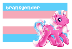 Size: 382x263 | Tagged: safe, cotton candy (g3), earth pony, pony, g3, flag, heart, heart mark, pride flag, pride ponies, raised hoof, smiling, solo, tail, transgender, transgender pride flag