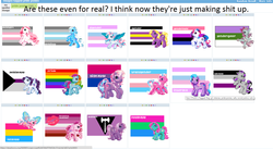 Size: 1653x903 | Tagged: safe, derpibooru, g3, bullshit, homophobia, meta, op is a duck, op is trying to start shit, pride ponies, social justice, text, transphobia