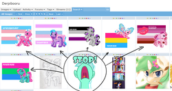 Size: 1296x692 | Tagged: safe, lyra heartstrings, twilight sparkle, alicorn, pony, derpibooru, g3, g4, asexual pride flag, exploitable meme, female, intersex pride flag, juxtaposition, juxtaposition win, lesbian pride flag, mare, meme, meta, pansexual pride flag, polysexual pride flag, pride flag, stahp, transgender pride flag, twilight sparkle (alicorn)