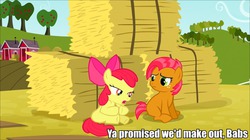 Size: 960x539 | Tagged: safe, edit, edited screencap, screencap, apple bloom, babs seed, earth pony, pony, apple family reunion, g4, caption, female, image macro, implied incest, lesbian, meme, ship:appleseed, shipping