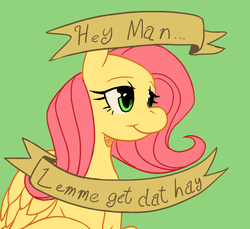 Size: 693x634 | Tagged: safe, artist:ssorobo, fluttershy, pegasus, pony, g4, c:, dialogue, female, flutterhigh, green background, lidded eyes, mare, mouthpiece, old banner, simple background, smiling, solo