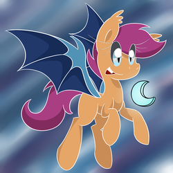 Size: 1280x1280 | Tagged: safe, artist:rosexknight, scootaloo, bat pony, pony, g4, bat ponified, female, race swap, scootabat, solo, student of the night