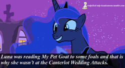 Size: 1280x690 | Tagged: safe, screencap, princess luna, goat, g4, 9/11, female, george bush, george w. bush, grin, headcanon, redpilled-mlp-headcanons, smiling, solo