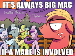 Size: 1040x780 | Tagged: safe, edit, idw, official comic, big macintosh, bittersweet (g4), twilight sparkle, earth pony, pony, unicorn, g4, spoiler:comic, spoiler:comic10, butt, caption, female, male, mare, parody, plot, social justice, stallion, text, unnamed character, unnamed pony